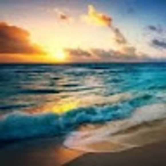 ann_landis